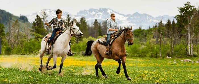 Confident plus-size woman riding Southsea a horse through a field with a smile on her face.